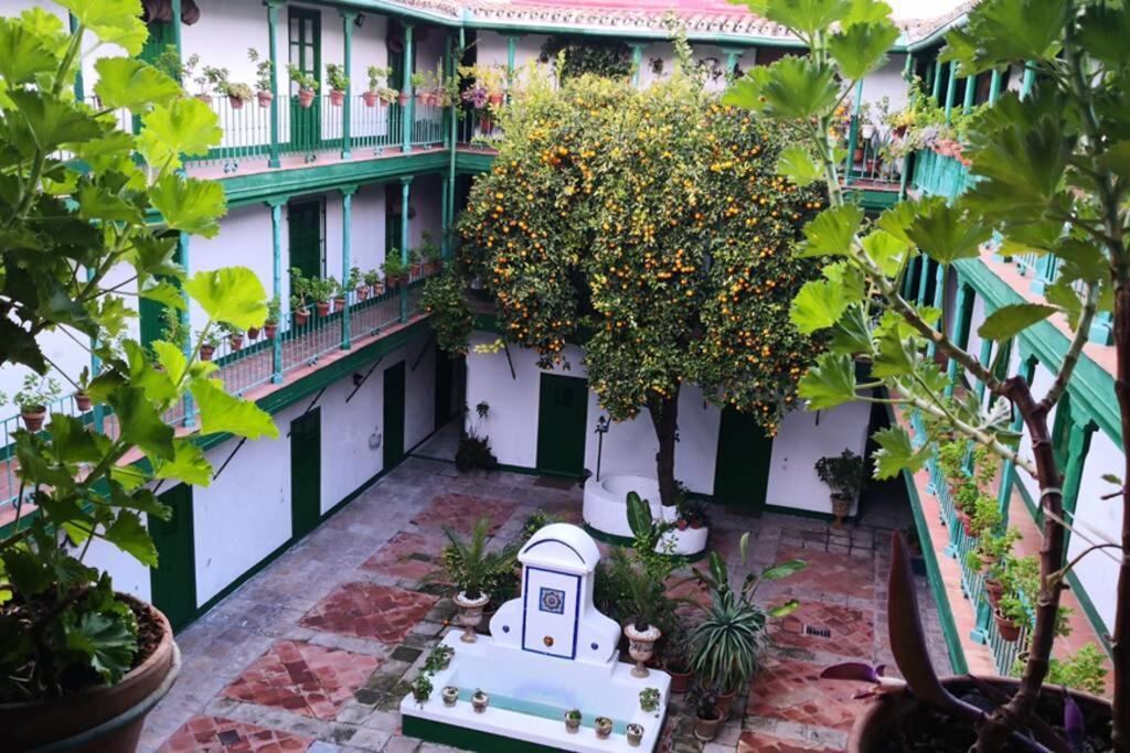 Alcazares Sevilla Centro Eksteriør billede